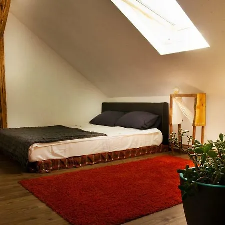 Cotton Loft Apartment Alba Iulia Exterior photo